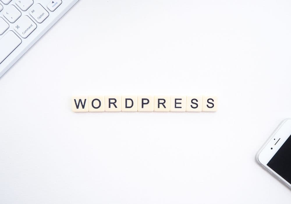 The Ultimate Guide to WordPress Website Customization